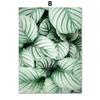 Green Tropical Agave Tulip Monstera Succulents Wall Art Canvas  PostersPainting And Prints Wall Pictures For Living Room Decor