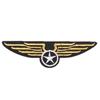 Эмблема летной куртки «Золотые крылья» с липучкой «Мини-орел»