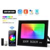 RGB LED Floodlight Reflector Outdoor Lighting 220V 30W 50W 100W Waterproof Spotlight Lamps Landscape Lighting Xmas Decoration