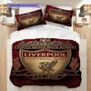Unity Legacy Football Three-piece set (1 * duvet cover + 2 * pillowcase, without core) 2DFlat Bedding set Christmas birthday gift Soft and comfortable