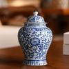 Chinese Ceramic Ginger Jar Decorative Flower Vase Traditional Porcelain Jar