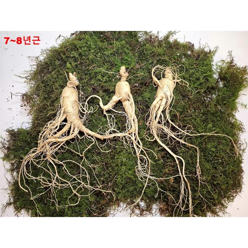 Donguibogam Camphor Ginseng, 10 Roots of 7-8 Year Old roots/KRW 30,000, Wild Ginseng, Natural Sprouts, Lunar New Year, Chuseok, General Packaging