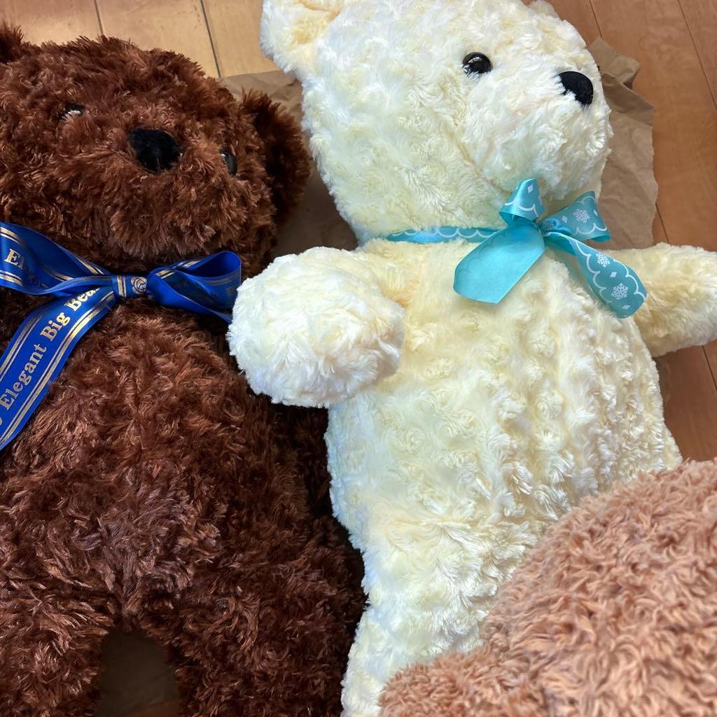 [Б/У] Плюшевый мишка, Прекрасный мишка, Мишка из роз, Плюшевый мишка