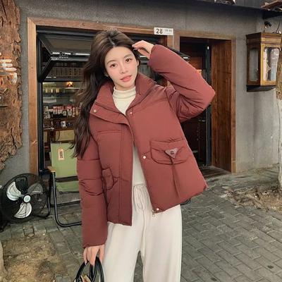2025 Новые повседневные женские парки с воротником-стойкой, верхняя одежда, осень-зима, женские пуховые хлопковые куртки с подкладкой