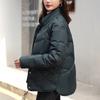 Женское однотонное теплое хлопковое пальто с воротником-стойкой и длинными рукавами и карманами, хлопковая куртка