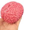 Antistress Toys Novelty Brain Toy Squeezable Relieve Stress Ball
