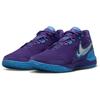 Nike Кроссовки Zoom LeBron NXXT Gen AMPD EP Summit Lake Hornets Unisex Purple Field-Purple Metallic-Silver FJ1567-500