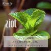 Kracie ZIOT Тоник для волос для мужчин