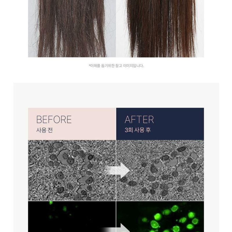 Kose - Predia Fungo Head Cleanse SPA+ Trial Pack