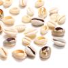 50Pcs/Lot Natural Small Sea Conch Shape Shell For DIY Jewelry Making Finding Accessories Supplies Seashell Necklace Bracelet