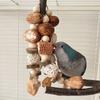 Игрушка для попугая Птицы грызут нитки ракушек, горные ананасы, яблоневую древесину, орехи и кукурузные початки, разрывая и уничтожая игрушки для клювастых птиц