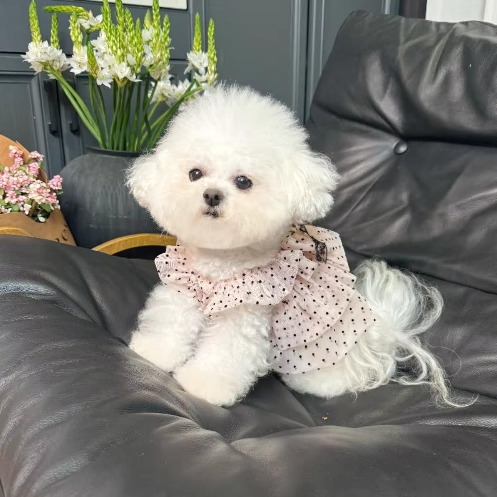 Breathable Dogs Polka Dot Lace Dress Thin Pet Tutu Skirt Pet Princess Dress For Small Dogs Cats