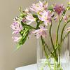 1PC Transparent Vase Decorative Ornament Flower Bucket Household Flower Pot Hydroponic Ware Imitation Glass 5 Styles