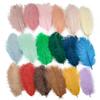 10Pcs Multicolor Ostrich Feather Wedding Home Carnival Decoration Table Centerpieces 15-20Cm 20-25Cm 30-35Cm Plumes For Crafts