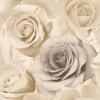 Muriva Madison Roses Wallpaper