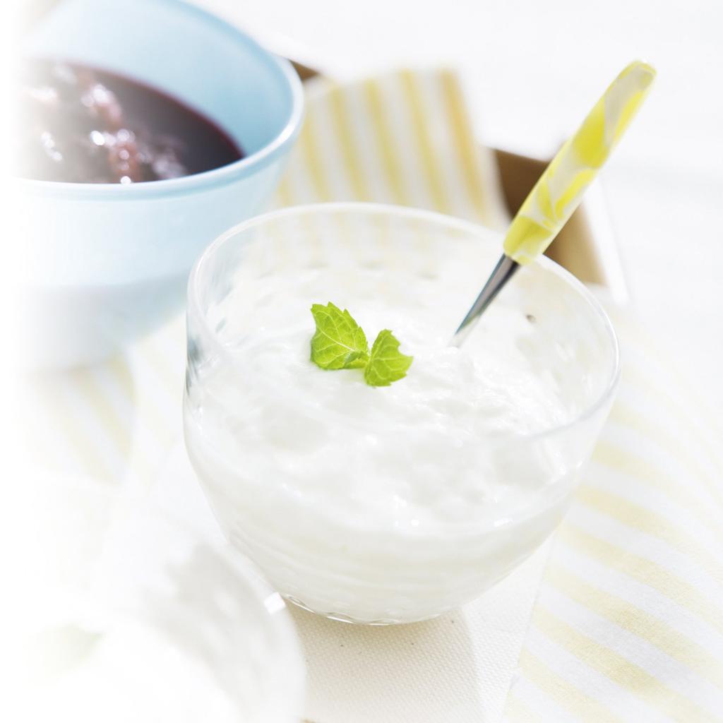 Wahei Freys Soleard Yogurt Maker SO-161