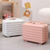 Mini Cosmetic Box Hand Boarding Case Hot Sales Makeup Case For Women