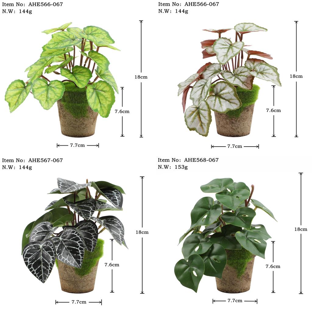 Искусственные зеленые растения для настольного украшения в помещении Эвкалипт Лист банана Спина черепахи Маргаритка Гибискус