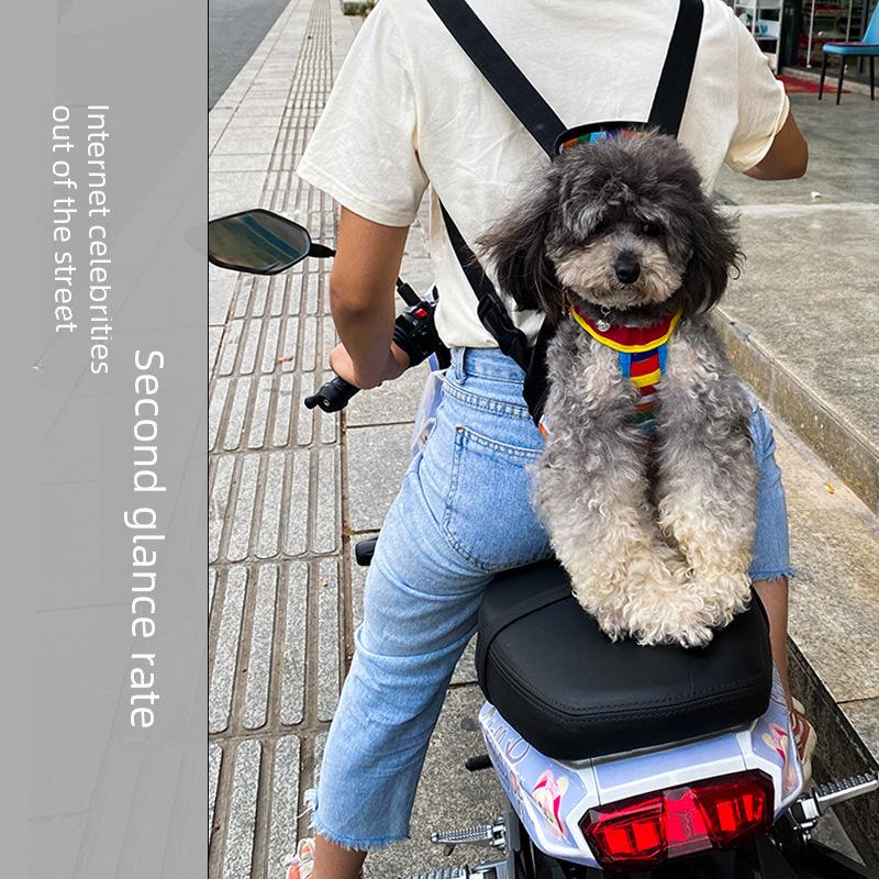 Прозрачный рюкзак-капсула для кошек и собак - дорожная переноска большой вместимости