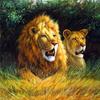 Diamond Painting New Animal Lion Pictures Of Rhinestones Diamond Embroidery Mosaic Cross Stitch Decortion
