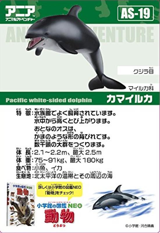 Takara Tomy "Ания AS-19 Белобокий дельфин" Животное Динозавр Реалистичная Движущаяся Фигурка Игрушка Возраст 3+ Соответствует Стандартам Безопасности Игрушек Знак ST ANIA