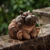 Outdoor Animal Decor Water Spitting Hippopotamus Figurine Realistic Hippo Resin Statue Statue Fountain Sculpture for Garden Pond Pool Decoration