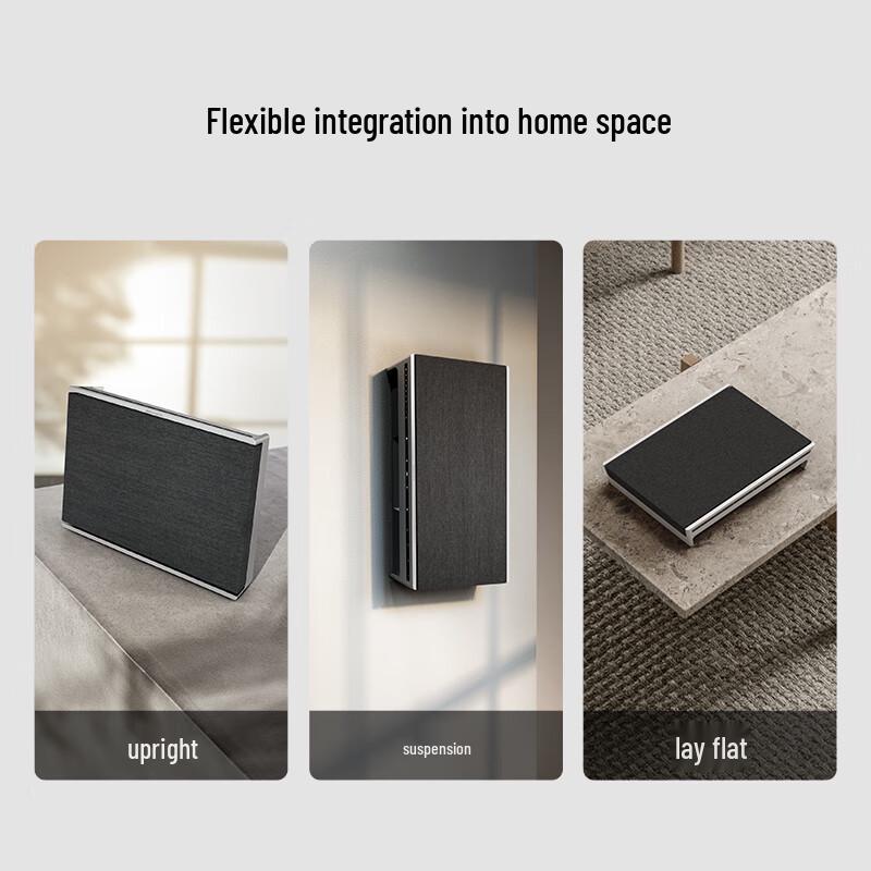 B&O Beosound Level Portable Wi-Fi & Bluetooth Speaker (CN version)