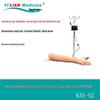 Yilian Medical Advanced Venous Puncture & Intramuscular Injection Arm Model