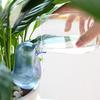 3 Pcs Self Watering Spikes Bird Shape Automatic Watering Globes Slow Release Plant Watering