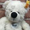 [USED] Steiff Lotte Teddy Bear, 18cm