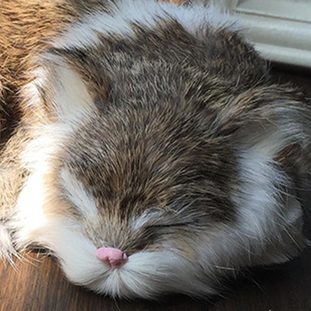 Cat Plush Cute Birthday Ornaments for Children Gift Decoration