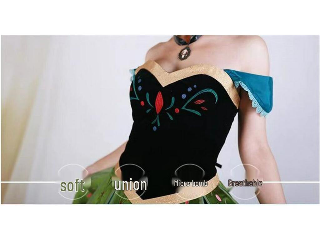 Princess Anna Frozen Cosplay Embroidered Gown Dress
