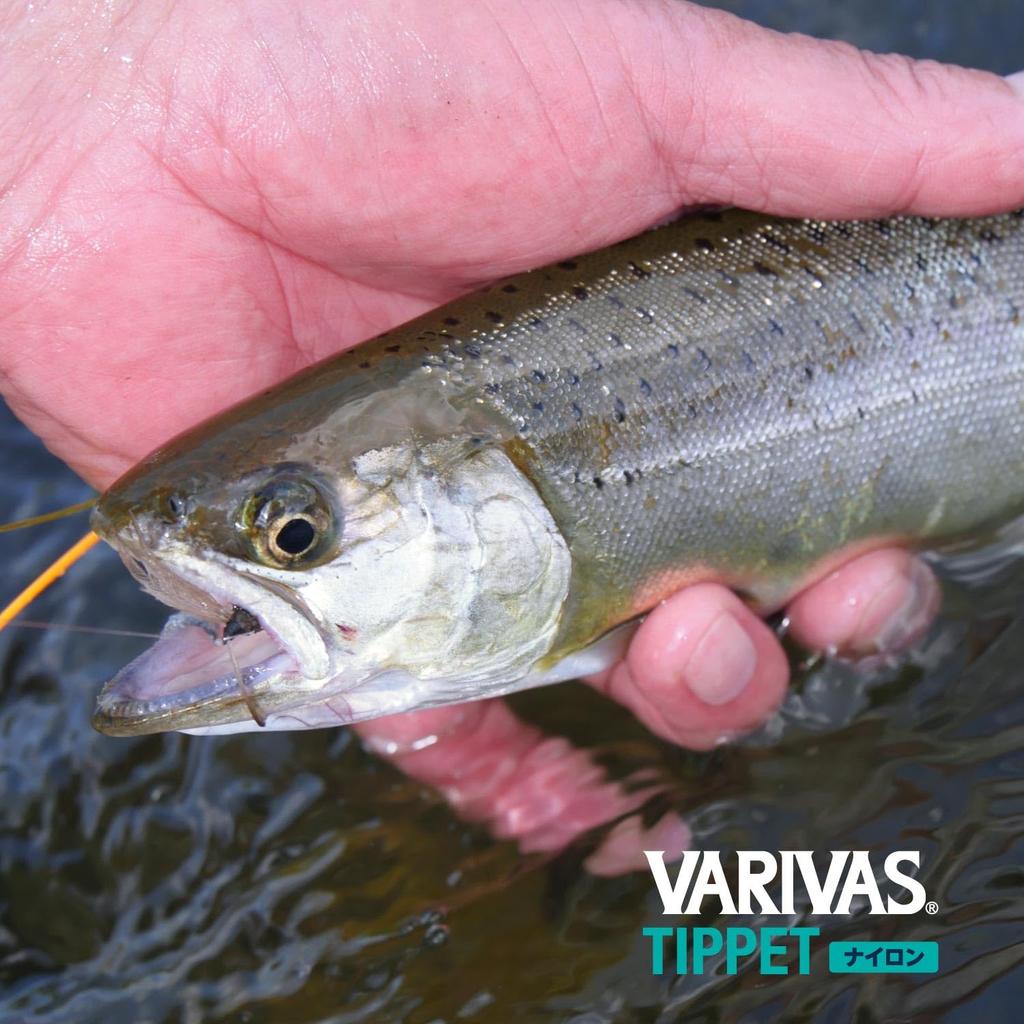 [VARIVAS] VARIVAS Tippet Nylon 30m 5X (3lb) Natural