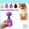 Premium Quality Chew Toys For Dogs Made Of Durable Transparent Latex Material