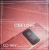 12-дюймовая пластинка COKEY One Love GMD003 Main Dish 1998 Япония Японский Клубный Танц Использованный
