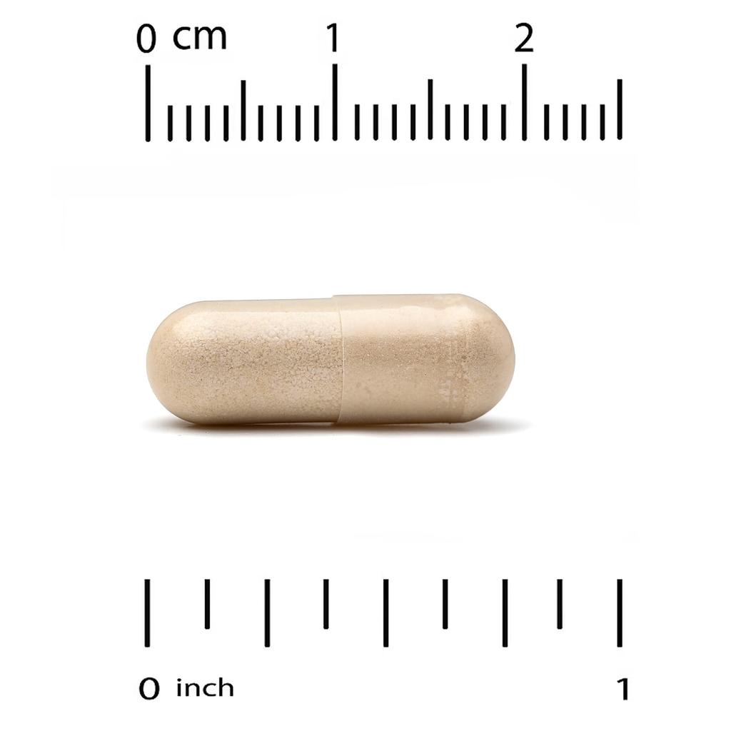 Mushroom Immune Complex, 60 Veggie Capsules