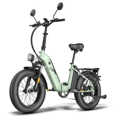Электровелосипед FAFREES FF20 Polar 500 Вт Мотор, 48 В 24 Ач Батарея, 90 км Запас хода, 20*4,0 дюйма Толстые шины Электровелосипед