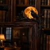 Moon Phase Decoration Halloween Raven Door Corner Decor, Spooky Dead?Tree Crow Wall Hanging Creepy Branch Silhouette Ornament, Mystical Gothic Sign