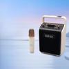 Edifier Портативная Bluetooth-колонка PP205, штекер CN (адаптер в комплекте)