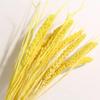 Preserved Rabbit Tail Grass Bouquet - DIY Dried Flower Decoration with Pampas Grass