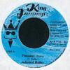 7inch Record ADMIRAL BAILEY - Punaany (Remix) NONE Jammy's Records 2000 Jamaica Reggae, Ska & Dub Used