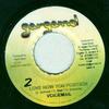 7inch Record VOICEMAIL - Love How You Position NONE Gargamel Music 2009 Jamaica Reggae, Ska & Dub Used