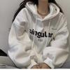 Women's Loose Hooded Sweater Coat New Autumn Winter Top