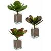 Plantes Décoratives - IBERGARDEN - Lot De 6 - Bicolore - 27 X 29 X 27 Cm - Intérieur