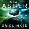 Gridlinked by Neal Asher Paperback Book 9781509868384