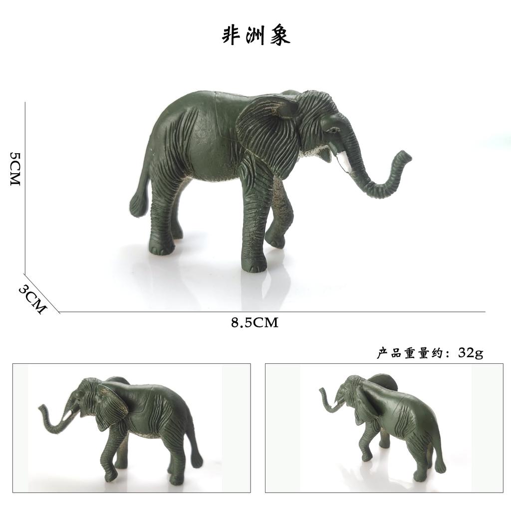 Realistic Tiger Zoo Animal Model Toy, Cognitive Educational Figure for Boys Girls Age 3+