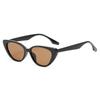 Vintage Cat Eye Sunglasses Men Women New In Fashion Irregular Gradient Eyewear Shades Brand Designer Sun Glasses UV400 Glasses