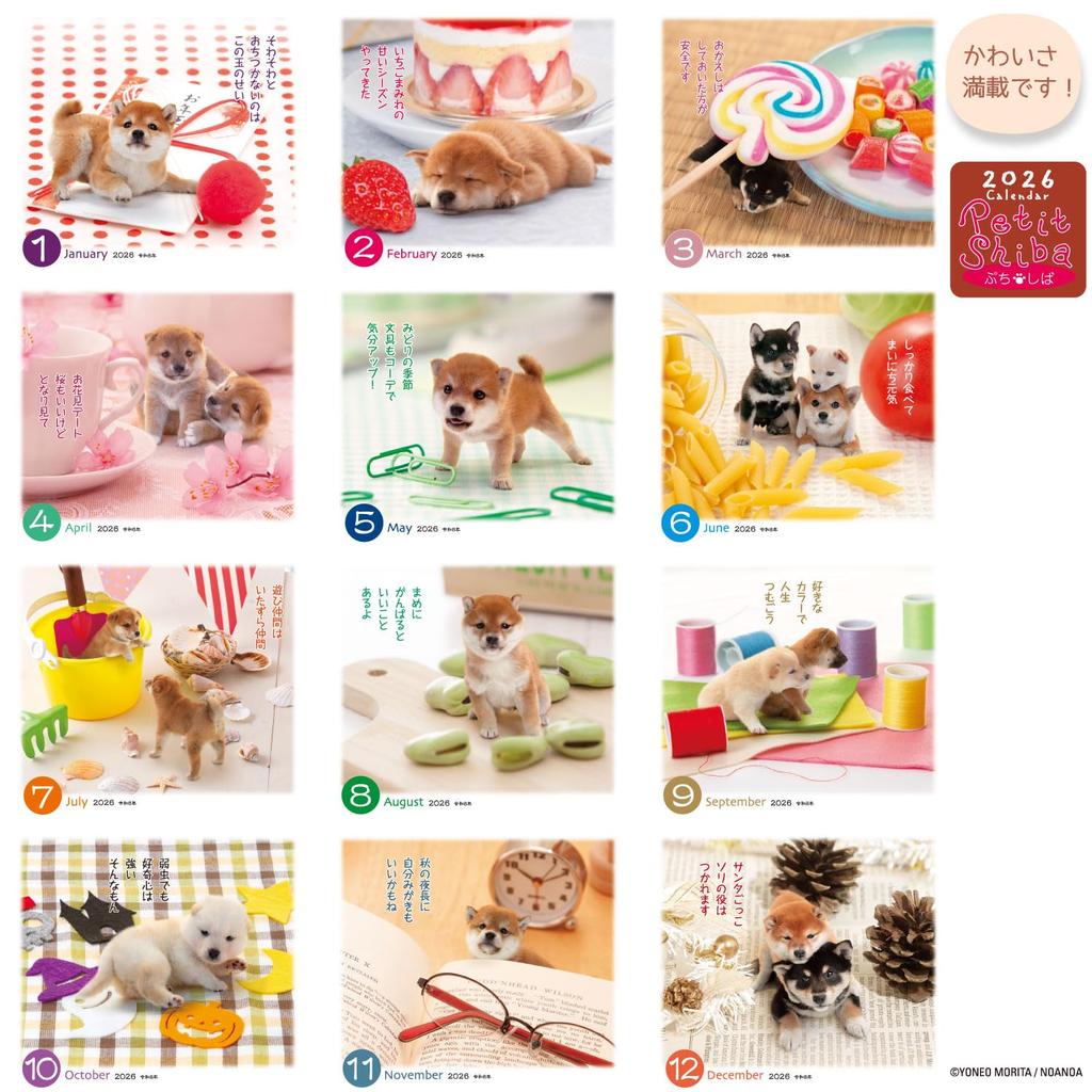 Active Corporation 2026 Настольный Маленький Начинается Январь 2026 Календарь, Сиба, 26ACL-545,