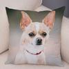 Cute Pet Animal Pillowcase Decorative Cute Puppy Chihuahua Pillowcase Soft Plush Cushion Cover for Car Sofa Home 45x45cm