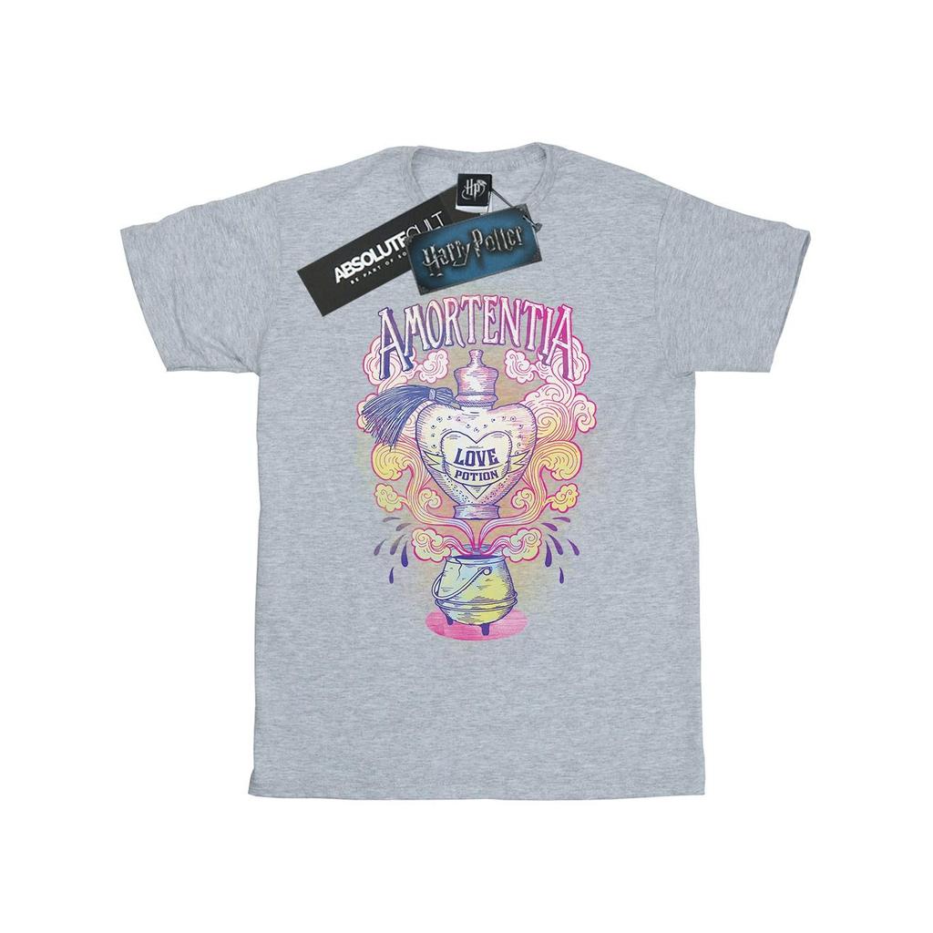 Harry Potter Womens/Ladies Love Potion Cotton Boyfriend T-Shirt